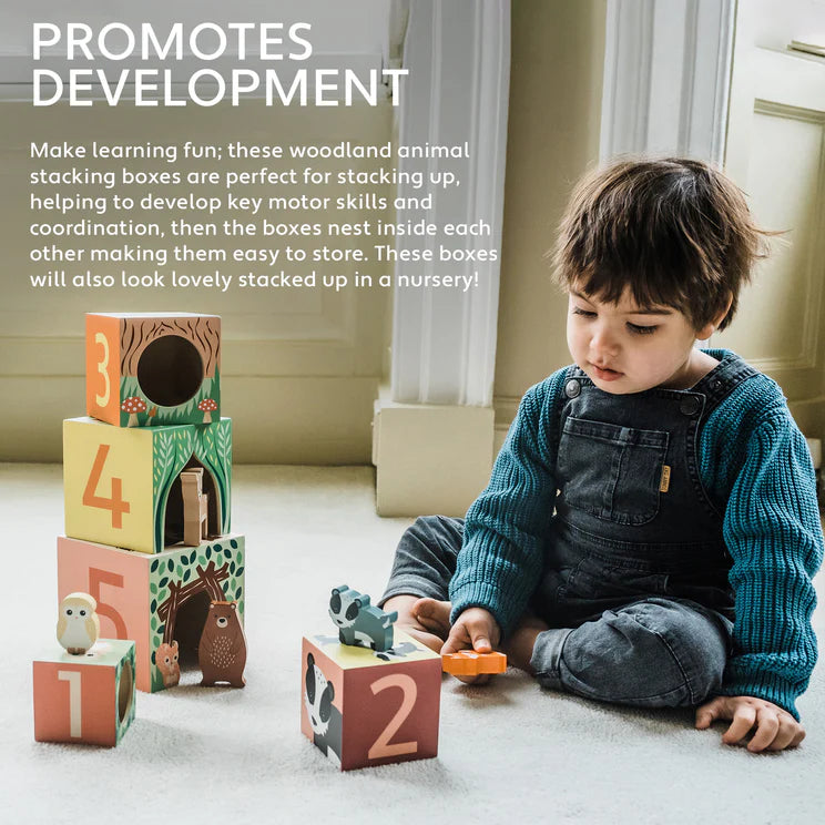 Woodland Animal Stacking Cubes
