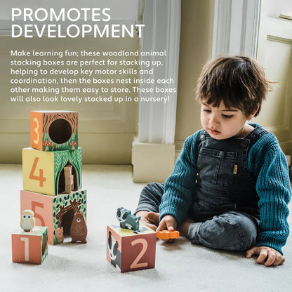 Woodland Animal Stacking Cubes