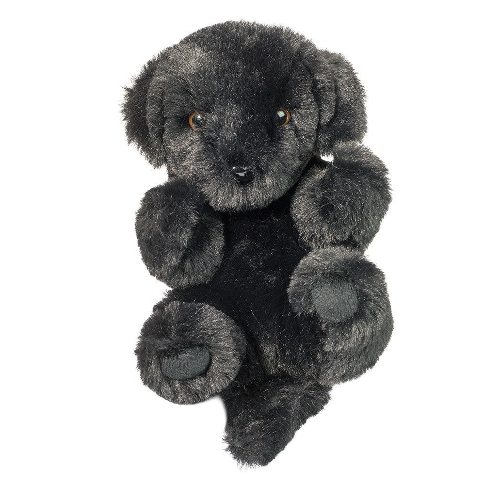 Black Lab Baby