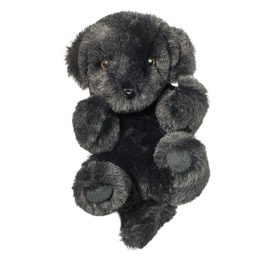 Black Lab Baby