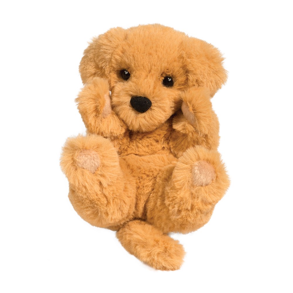 Golden Retriever Baby
