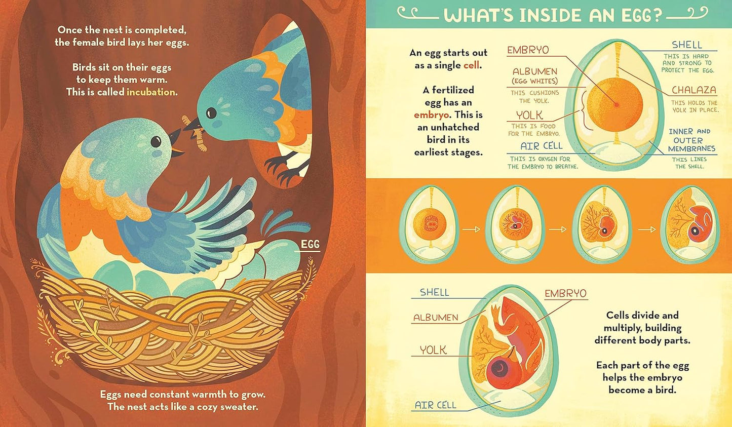 What's Inside a Bird's Nest? Book