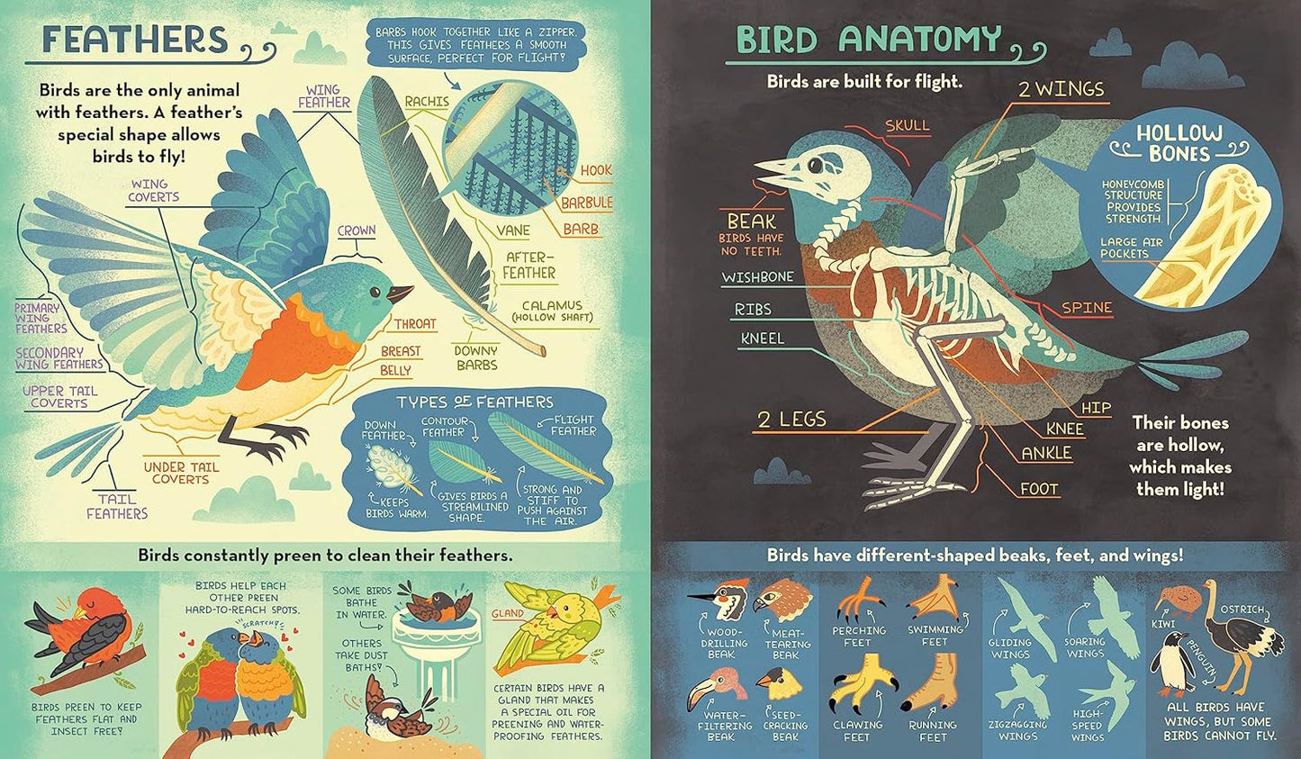 What's Inside a Bird's Nest? Book