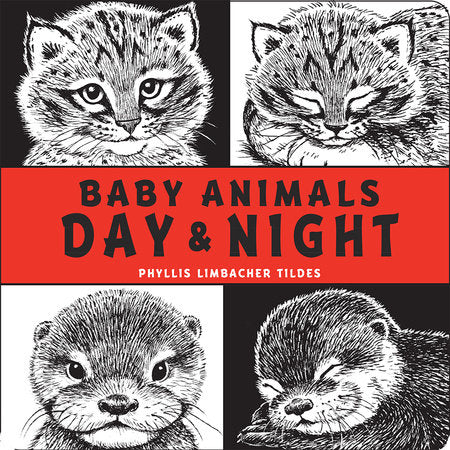 Baby Animals Day & Night Board Book