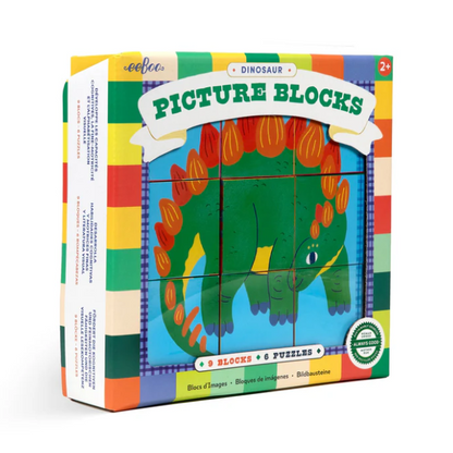 Dinosaur Picture Blocks