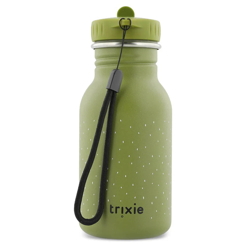 Stainless Steel 350ml Water Bottle- Mr. Dino
