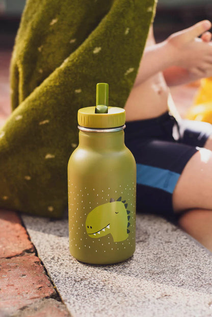 Stainless Steel 350ml Water Bottle- Mr. Dino