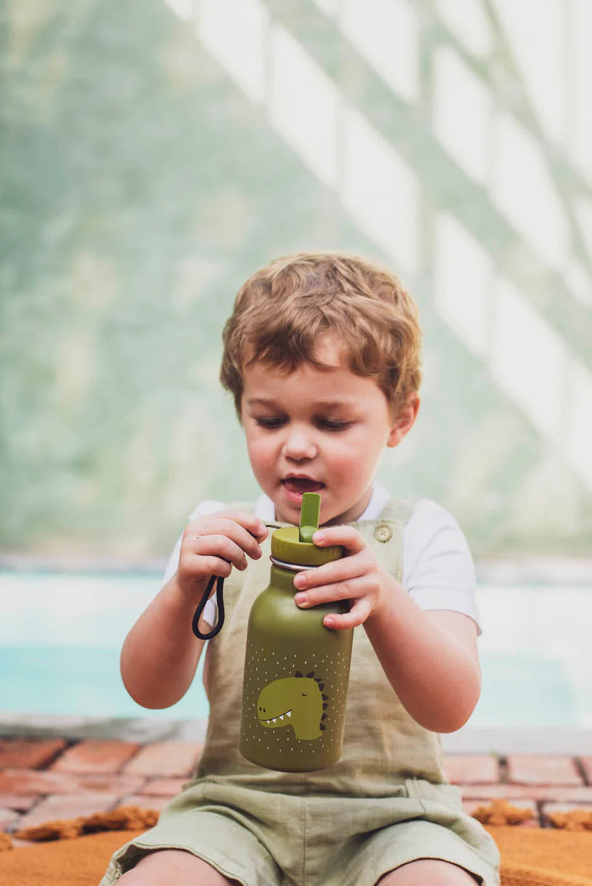 Stainless Steel 350ml Water Bottle- Mr. Dino