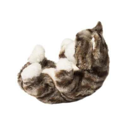 Dark Gray Stripe Kitten Baby