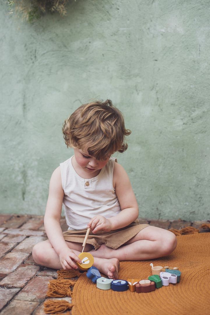Wooden Animals Lacing Beads