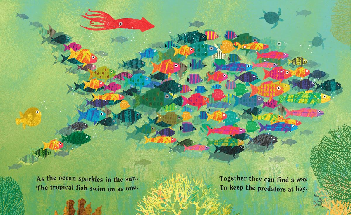 Ocean: A Peek-Through Board Book