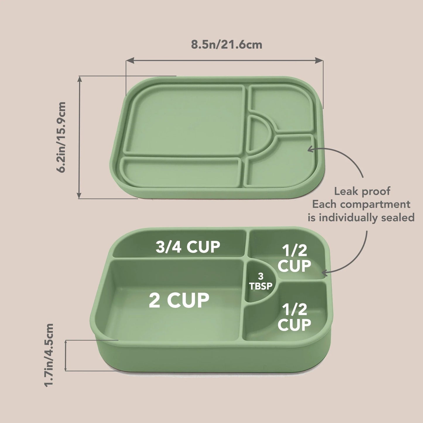Divided Silicone Large Lunch Box- Wave