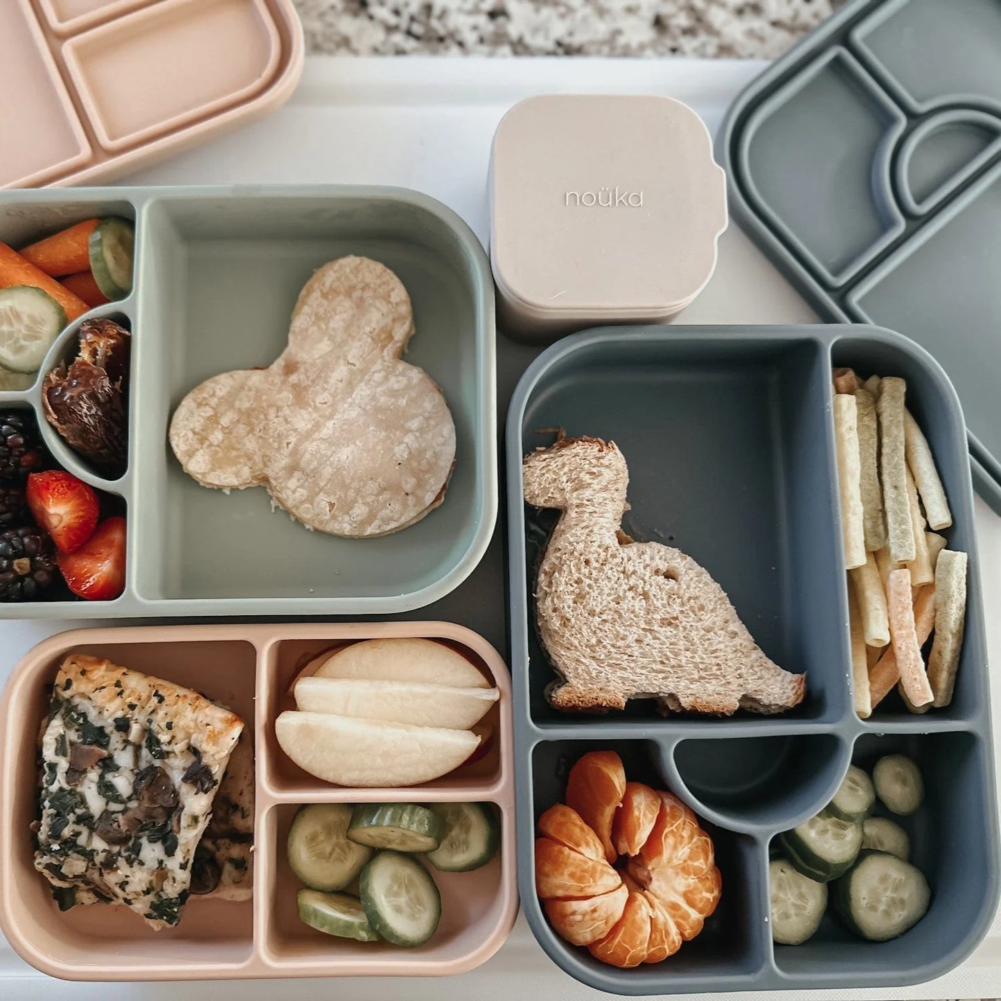 Divided Silicone Large Lunch Box- Wave