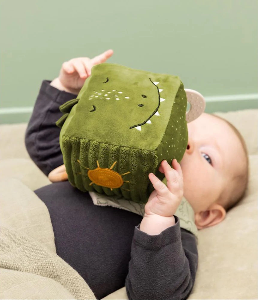 Plush Activity Cube- Mr. Dino