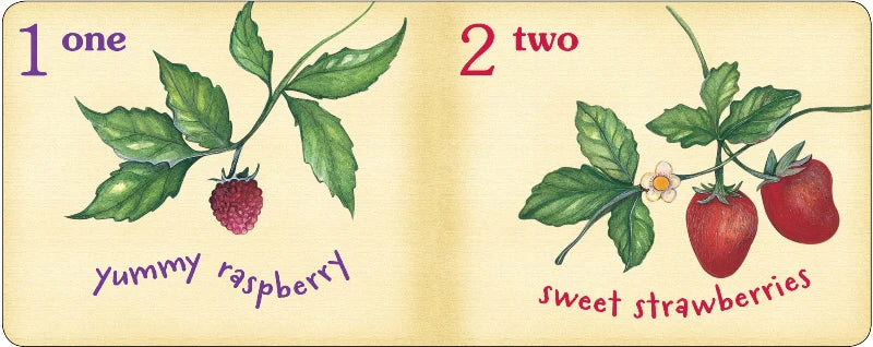 The Very Berry Counting Board Book